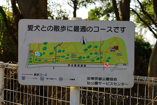 犬の散歩コースは変えるべき?コースを変えるメリットやコツを紹介!
