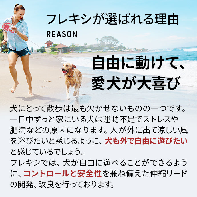 ジャイアント 大型犬用 テープタイプ 8m イエロー