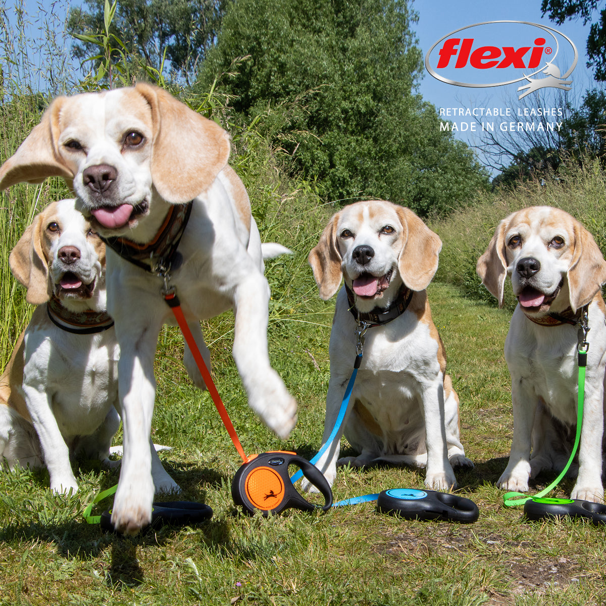 ニューネオン 小型犬用 テープタイプ 5m グリーン
