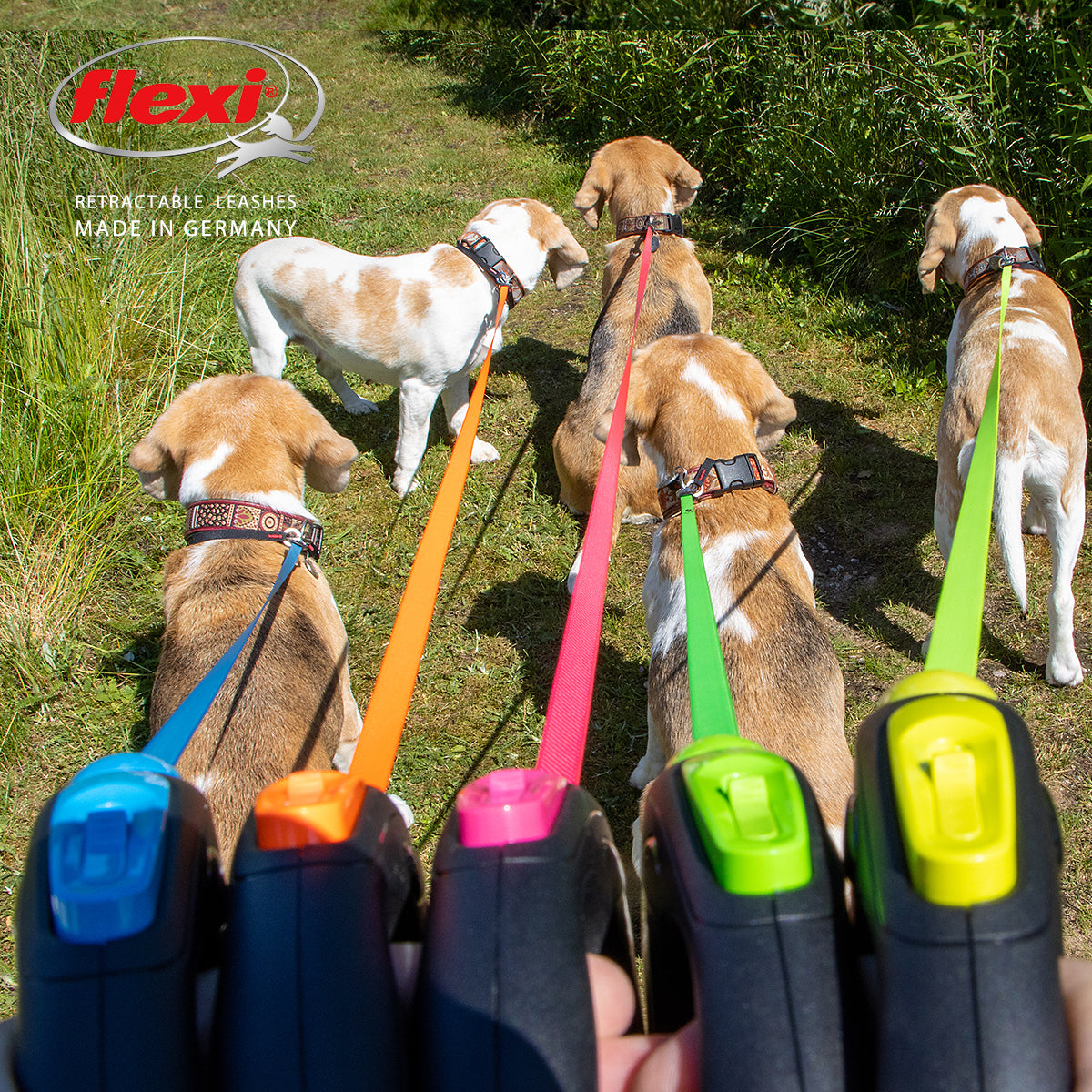 ニューネオン 小型犬用 テープタイプ 5m ピンク